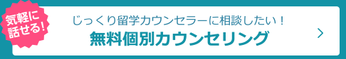 スマ留無料個別カウンセリング申込