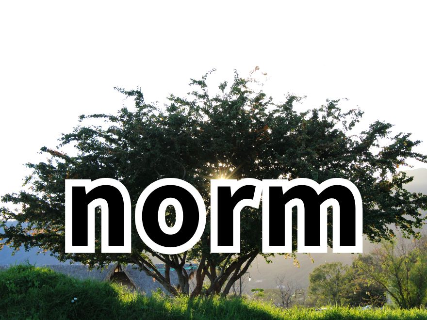 Norm